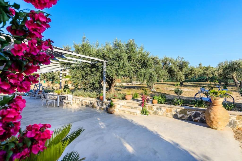 Skopelos Blue Heaven Pool Villa In Olive Grove Zewnętrze zdjęcie